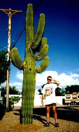 BDG_cactus.JPG (28986 bytes)